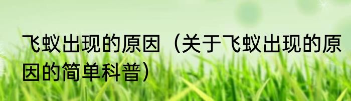飞蚁出现的原因（关于飞蚁出现的原因的简单科普）