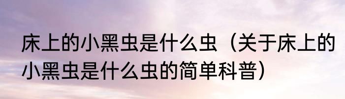 床上的小黑虫是什么虫（关于床上的小黑虫是什么虫的简单科普）