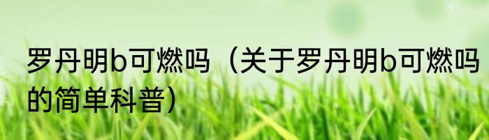 罗丹明b可燃吗（关于罗丹明b可燃吗的简单科普）