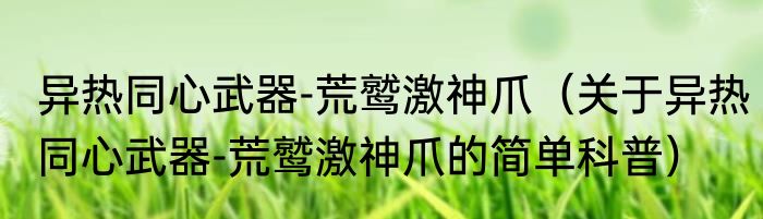 异热同心武器-荒鹫激神爪（关于异热同心武器-荒鹫激神爪的简单科普）