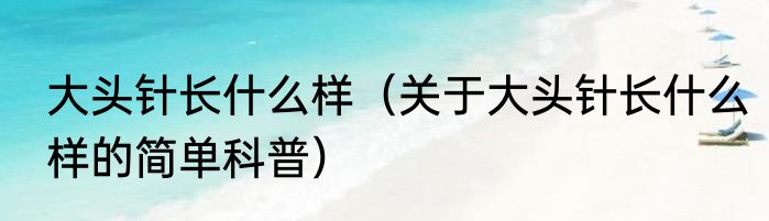 大头针长什么样（关于大头针长什么样的简单科普）