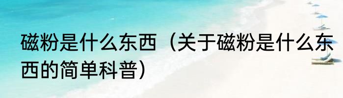 磁粉是什么东西（关于磁粉是什么东西的简单科普）