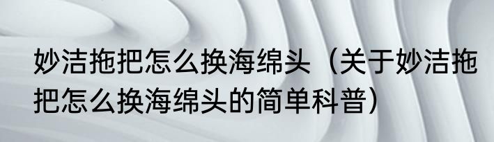 妙洁拖把怎么换海绵头（关于妙洁拖把怎么换海绵头的简单科普）
