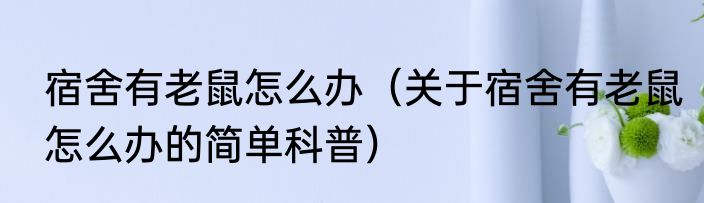 宿舍有老鼠怎么办（关于宿舍有老鼠怎么办的简单科普）
