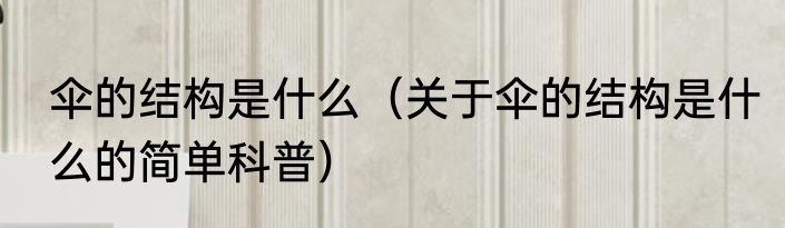 伞的结构是什么（关于伞的结构是什么的简单科普）