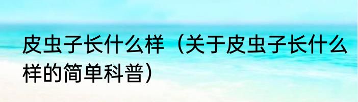 皮虫子长什么样（关于皮虫子长什么样的简单科普）