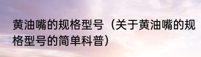 黄油嘴的规格型号（关于黄油嘴的规格型号的简单科普）