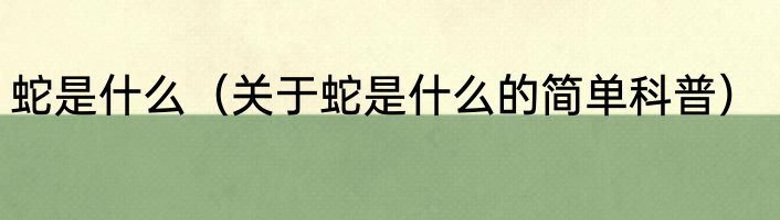 蛇是什么（关于蛇是什么的简单科普）