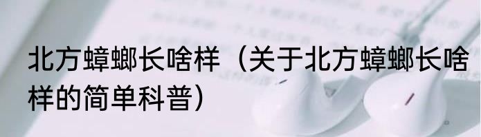 北方蟑螂长啥样（关于北方蟑螂长啥样的简单科普）