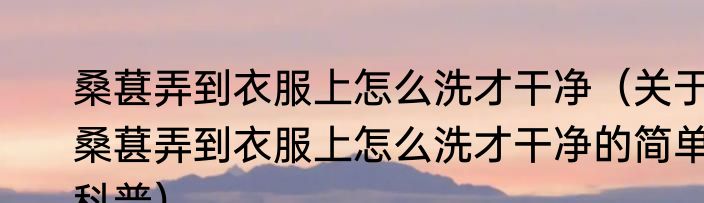 桑葚弄到衣服上怎么洗才干净（关于桑葚弄到衣服上怎么洗才干净的简单科普）
