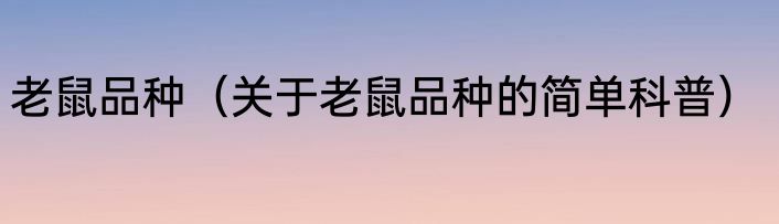 老鼠品种（关于老鼠品种的简单科普）
