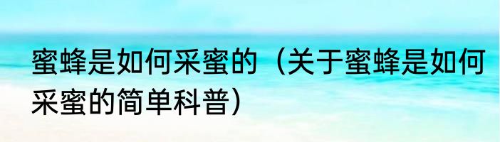 蜜蜂是如何采蜜的（关于蜜蜂是如何采蜜的简单科普）