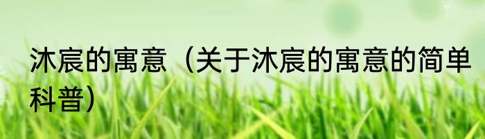 沐宸的寓意（关于沐宸的寓意的简单科普）
