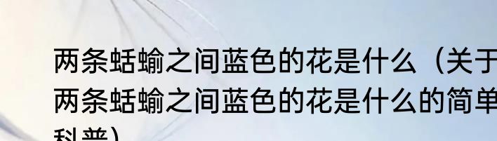两条蛞蝓之间蓝色的花是什么（关于两条蛞蝓之间蓝色的花是什么的简单科普）
