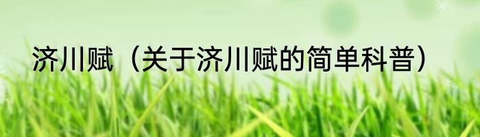 济川赋（关于济川赋的简单科普）