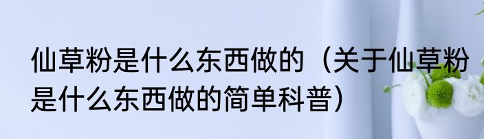 仙草粉是什么东西做的（关于仙草粉是什么东西做的简单科普）