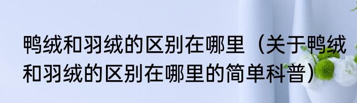 鸭绒和羽绒的区别在哪里（关于鸭绒和羽绒的区别在哪里的简单科普）