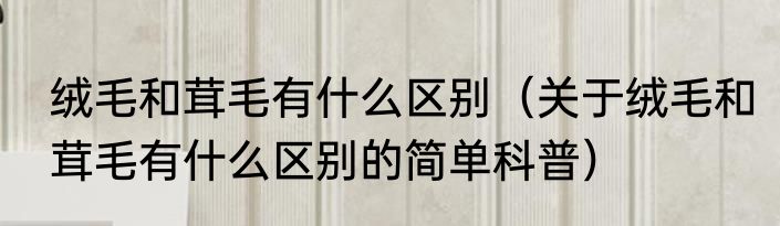 绒毛和茸毛有什么区别（关于绒毛和茸毛有什么区别的简单科普）