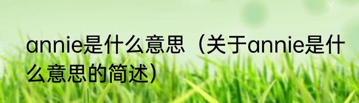 annie是什么意思（关于annie是什么意思的简述）