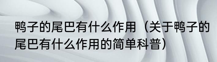 鸭子的尾巴有什么作用（关于鸭子的尾巴有什么作用的简单科普）