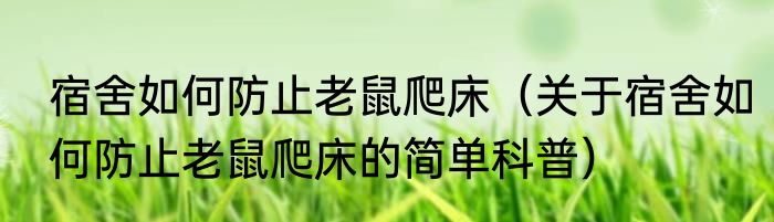 宿舍如何防止老鼠爬床（关于宿舍如何防止老鼠爬床的简单科普）