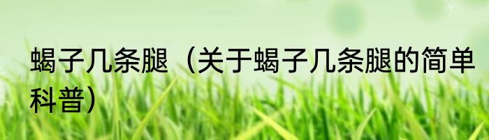 蝎子几条腿（关于蝎子几条腿的简单科普）