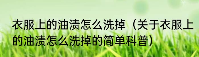 衣服上的油渍怎么洗掉（关于衣服上的油渍怎么洗掉的简单科普）
