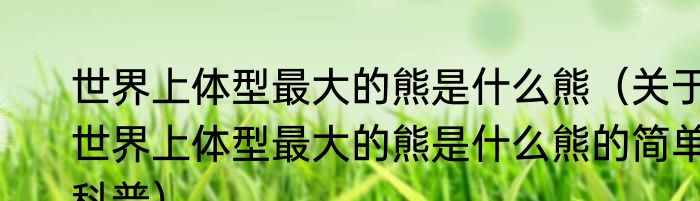 世界上体型最大的熊是什么熊（关于世界上体型最大的熊是什么熊的简单科普）