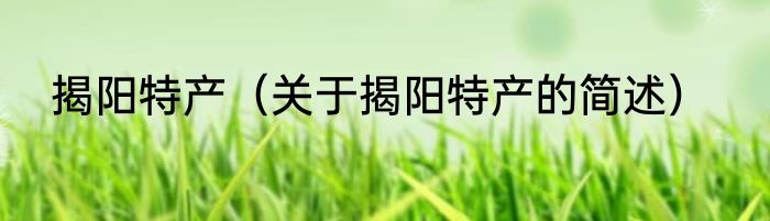 揭阳特产（关于揭阳特产的简述）