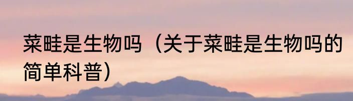 菜畦是生物吗（关于菜畦是生物吗的简单科普）