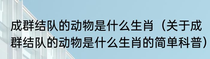 成群结队的动物是什么生肖（关于成群结队的动物是什么生肖的简单科普）