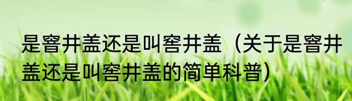 是窨井盖还是叫窖井盖（关于是窨井盖还是叫窖井盖的简单科普）