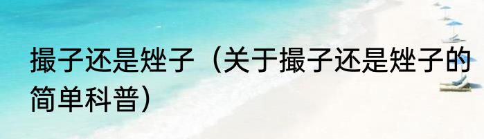 撮子还是矬子（关于撮子还是矬子的简单科普）