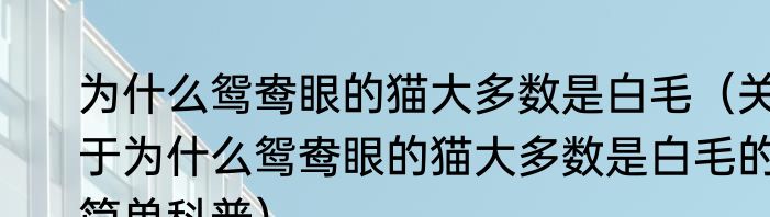 为什么鸳鸯眼的猫大多数是白毛（关于为什么鸳鸯眼的猫大多数是白毛的简单科普）