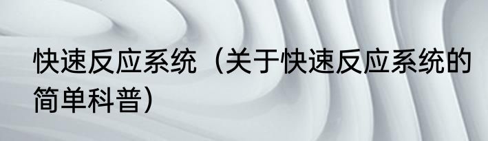快速反应系统（关于快速反应系统的简单科普）