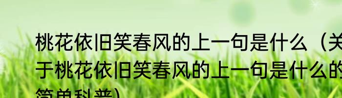 桃花依旧笑春风的上一句是什么（关于桃花依旧笑春风的上一句是什么的简单科普）