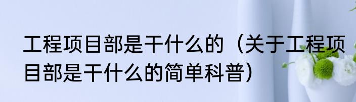 工程项目部是干什么的（关于工程项目部是干什么的简单科普）