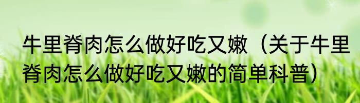 牛里脊肉怎么做好吃又嫩（关于牛里脊肉怎么做好吃又嫩的简单科普）