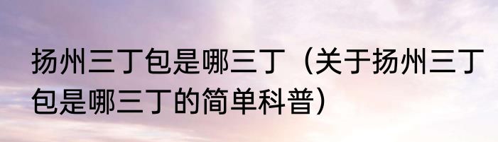 扬州三丁包是哪三丁（关于扬州三丁包是哪三丁的简单科普）