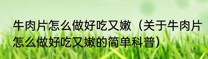牛肉片怎么做好吃又嫩（关于牛肉片怎么做好吃又嫩的简单科普）