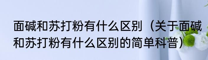 面碱和苏打粉有什么区别（关于面碱和苏打粉有什么区别的简单科普）