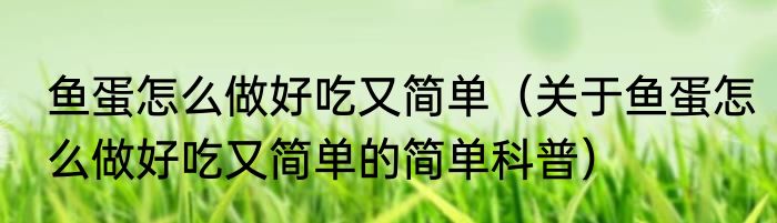 鱼蛋怎么做好吃又简单（关于鱼蛋怎么做好吃又简单的简单科普）