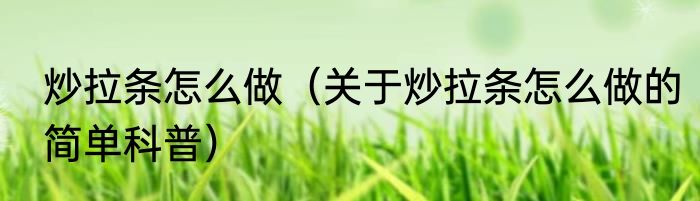 炒拉条怎么做（关于炒拉条怎么做的简单科普）