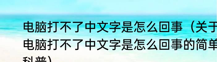 电脑打不了中文字是怎么回事（关于电脑打不了中文字是怎么回事的简单科普）