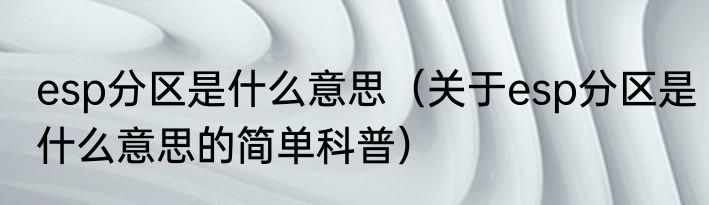 esp分区是什么意思（关于esp分区是什么意思的简单科普）