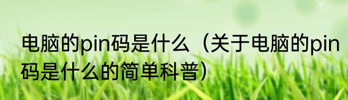 电脑的pin码是什么（关于电脑的pin码是什么的简单科普）