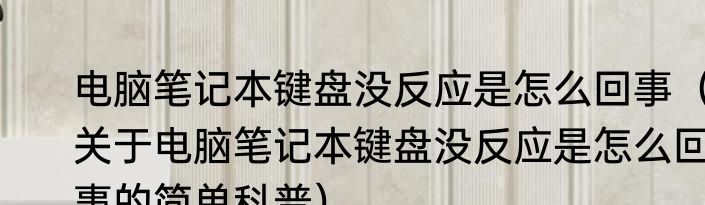 电脑笔记本键盘没反应是怎么回事（关于电脑笔记本键盘没反应是怎么回事的简单科普）