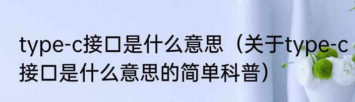 type-c接口是什么意思（关于type-c接口是什么意思的简单科普）