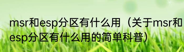 msr和esp分区有什么用（关于msr和esp分区有什么用的简单科普）