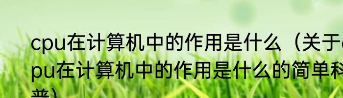 cpu在计算机中的作用是什么（关于cpu在计算机中的作用是什么的简单科普）
